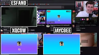 Multiple Streamers Go Down After Texas Goes Into Blackout