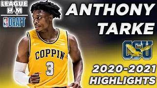 Anthony Tarke 2020-2021 Coppin State Senior SZN Highlights | MEAC POY & DPOY | NBA Draft 2021