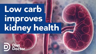 Low carb diets improve kidney health