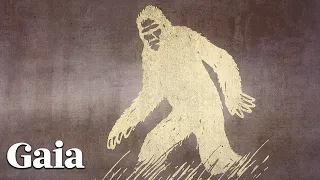 Tracking EVIDENCE of SASQUATCH