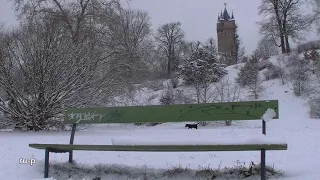 Weißes Potsdam 2021: Park Babelsberg