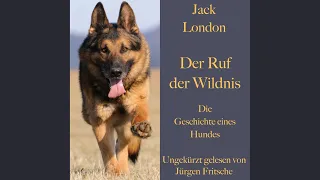 Kapitel 2 - Jack London: Der Ruf der Wildnis. Die Geschichte eines Hundes