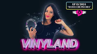 VINYLAND - EP 15/2024 - dance che picchia | ELENA TANZ Vinyl mix