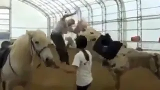 Shot on iphone 6 meme (Man gets kick by horse)