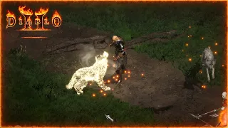 Diablo 2 Resurrected All Druid Summon Skills