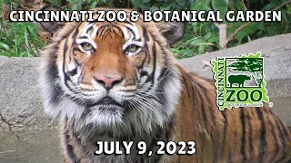 Cincinnati Zoo & Botanical Garden | July 9, 2023