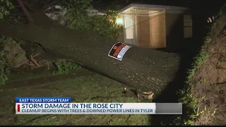 Damage in East Texas from Tuesday's storm