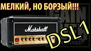 MARSHALL DSL1 Head (Обзор усилителя от GAIN OVER)