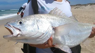 Fishing Macassar Beach | Surprise catch for angler targeting sharks.