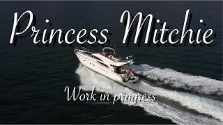 Aquaholic? Jim Davidson certainly is... Princess Mitchie: Work in progress