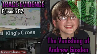 The Vanishing of Andrew Gosden - Trace Evidence