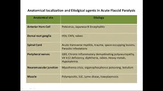 A Class On ACUTE FLACCID PARALYSIS By Dr Vasundhara Dept Of Pediatrics