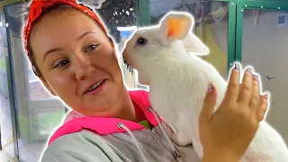 Ruby and Bonnie feeds animals at the farm and fun park