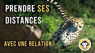 Prendre ses distances avec une relation / No Contact