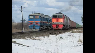 Грузовые поезда на станции Любятово. 2ТЭ116-881, отправление 2ТЭ116-523