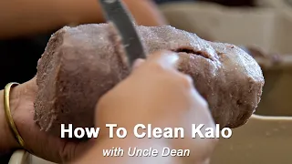 How To Clean Kalo with Uncle Dean