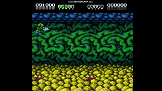 Battletoads & Double Dragon - on Ragnarok (U) [v1.6] level 3 beta