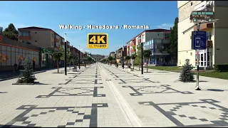 Walking - Hunedoara, Romania #X