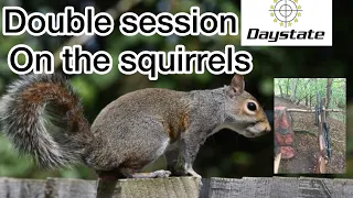 Awesome double session squirrel shooting