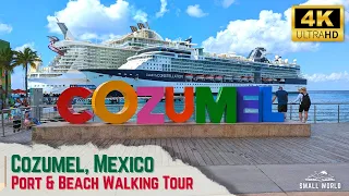 Cozumel, Mexico | Walking Tour - International Cruise Terminal, Port Shopping, & Beach Walks