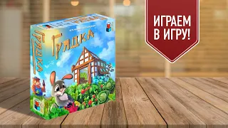 ГРЯДКА: играем в семейную настольную игру