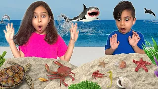 Educational Sea Animals for Kids | Learn coastal life with Atrin and Soren at the Zoo and Aquarium