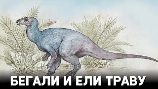 Новый вид проворных динозавров открыли в Аргентине
