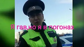 Гав,но в погонах ДПС. инспектор Дурачков