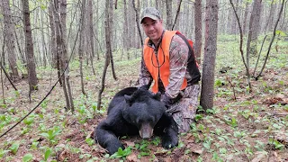 2022 Black Bear Hunt at Pourvoire du Nord- Northern Outfitters in Quebec, Canada.