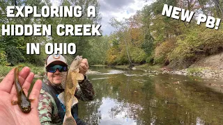 This Scioto River Tributary in Central Ohio is Amazing!