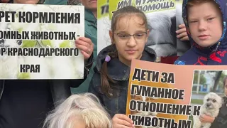 Анапа и регионы России против эвтаназии животных