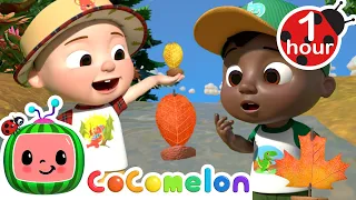 JJ and Cody's Leaf Boat Race | Row Row Row Your Boat Song | CoComelon Nursery Rhymes & Kids Songs