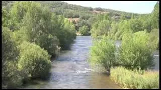 Restauración de ríos y prevención de inundaciones: El ejemplo del río Órbigo