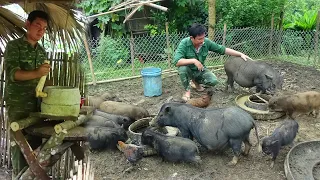 Use a Stone Mill to Grind Corn for Chickens and Pigs, Farm Wild Boar | Build a free life