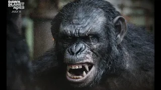 Evil Apes Battle Scene (2024) - Planet Of The Apes