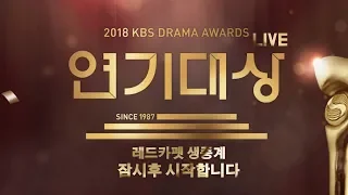 2018 KBS 연기대상 레드카펫 현장 LIVE ㅣ KBS방송