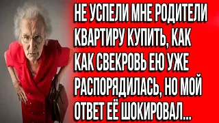 Не успели мне родители квартиру купить, как свекровь ею уже по своему распорядилась.