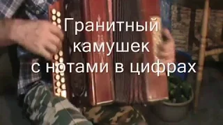 Гранитный камушек с нотами в цифрах