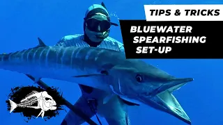How to set up your gear for bluewater spearfishing | OCEAN HUNTER