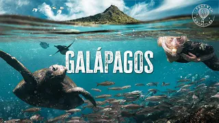 Galapagos Islands - How is this Real Life?!