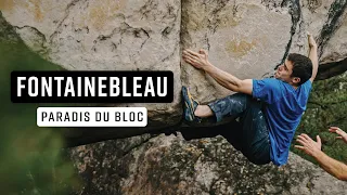 Bouldering Paradise • Climbing in Fontainebleau