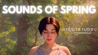 Renew Your Spirit: Enchanting Ambient Nature Sounds for Meditation, Peace, Study & Deep Relaxation