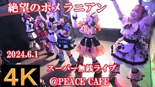 絶望のポメラニアン【４K】2024.6.1・ピースカフェスーパー無銭LIVE・PEACE CAFE