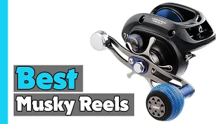 ✅Top 5: Best Musky Reels In 2023 🎣 [ Amazon Cheap Musky Reels ]