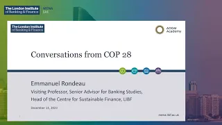 COP28 insights: navigating the climate agenda