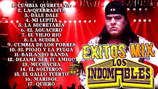 Los Indomables Puras Cumbias Sabrosas Mix 2023