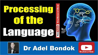 Cortical Processing of Language, Dr Adel Bondok