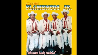 FLAMENCOS JR - EN EL FONDO DE UNA COPA