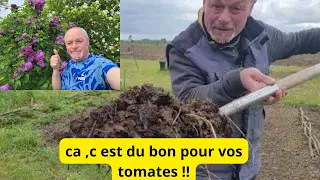 Comment préparer sa terre pour ses pieds tomates ?