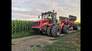 HORSCH AVATAR 12.25 SD . Кировец К- 525 Премиум. Всходы и сеялка в работе.